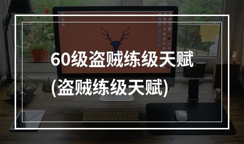 60级盗贼练级天赋(盗贼练级天赋)