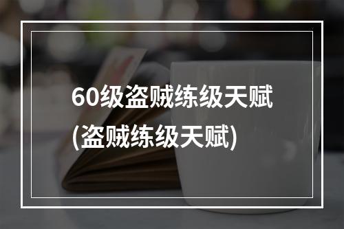 60级盗贼练级天赋(盗贼练级天赋)