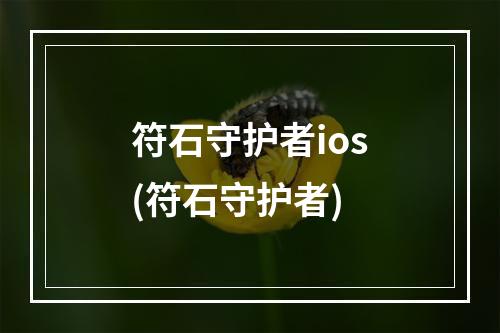 符石守护者ios(符石守护者)