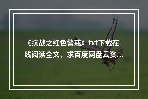 《抗战之红色警戒》txt下载在线阅读全文，求百度网盘云资源(抗战红色警戒)