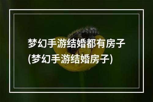 梦幻手游结婚都有房子(梦幻手游结婚房子)