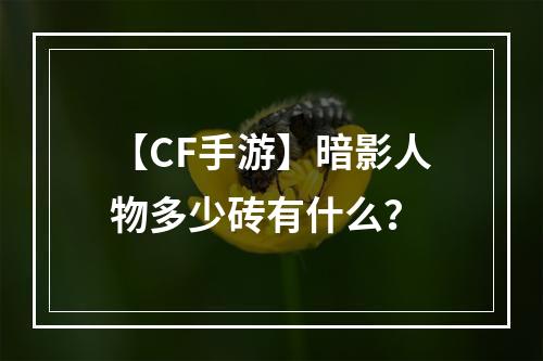 【CF手游】暗影人物多少砖有什么？