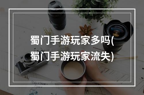 蜀门手游玩家多吗(蜀门手游玩家流失)