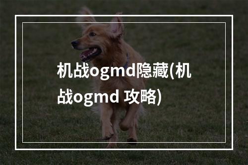 机战ogmd隐藏(机战ogmd 攻略)