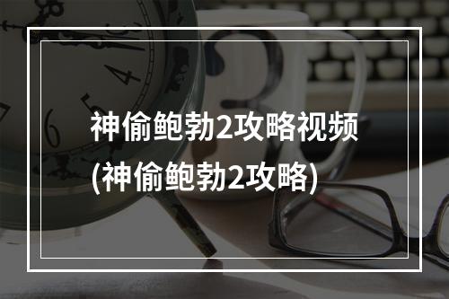 神偷鲍勃2攻略视频(神偷鲍勃2攻略)