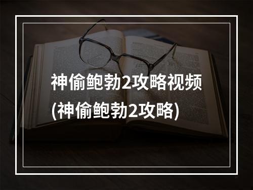 神偷鲍勃2攻略视频(神偷鲍勃2攻略)