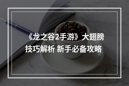 《龙之谷2手游》大翅膀技巧解析 新手必备攻略