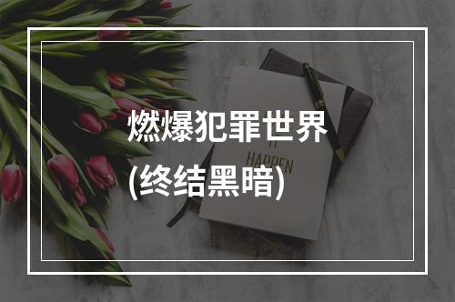 燃爆犯罪世界(终结黑暗)