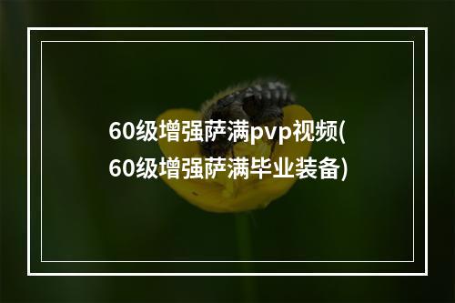 60级增强萨满pvp视频(60级增强萨满毕业装备)