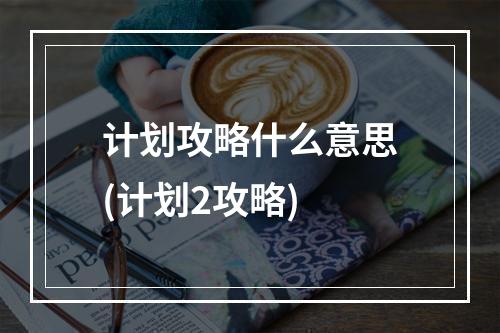 计划攻略什么意思(计划2攻略)