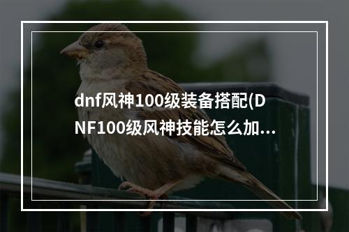 dnf风神100级装备搭配(DNF100级风神技能怎么加点CP选什么 DNF风神100级技能)