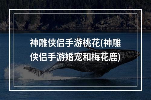 神雕侠侣手游桃花(神雕侠侣手游婚宠和梅花鹿)