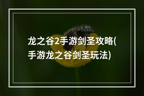 龙之谷2手游剑圣攻略(手游龙之谷剑圣玩法)