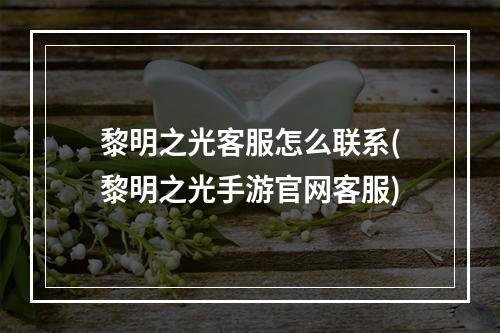 黎明之光客服怎么联系(黎明之光手游官网客服)