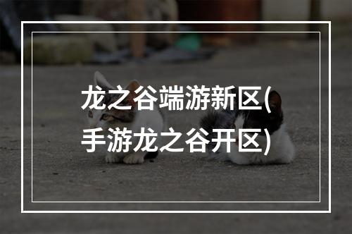 龙之谷端游新区(手游龙之谷开区)