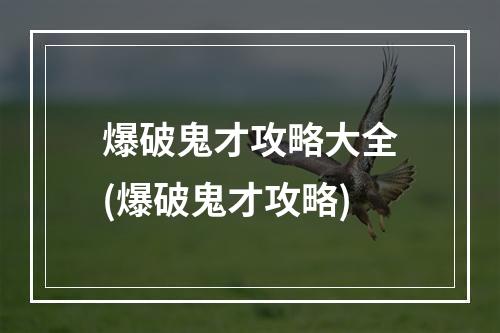 爆破鬼才攻略大全(爆破鬼才攻略)