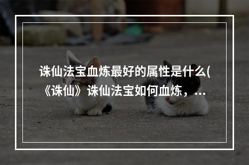 诛仙法宝血炼最好的属性是什么(《诛仙》诛仙法宝如何血炼，诛仙法宝血炼教程,教你轻松)