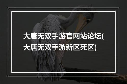 大唐无双手游官网站论坛(大唐无双手游新区死区)