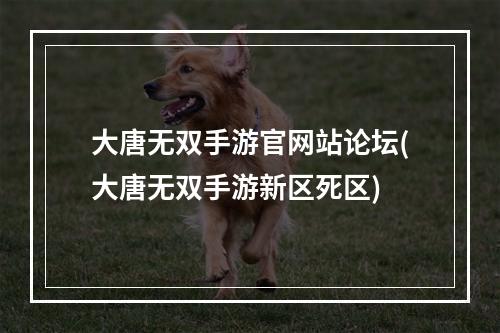 大唐无双手游官网站论坛(大唐无双手游新区死区)