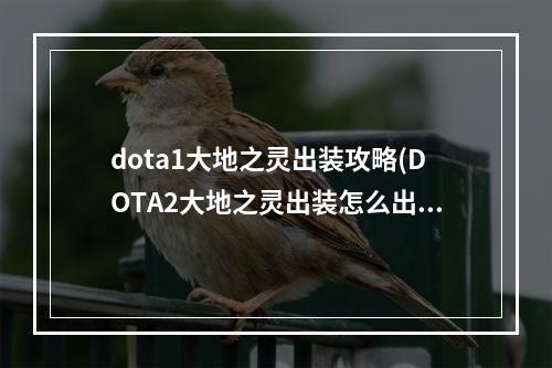 dota1大地之灵出装攻略(DOTA2大地之灵出装怎么出 大地之灵出装出装攻略  )