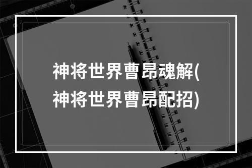 神将世界曹昂魂解(神将世界曹昂配招)