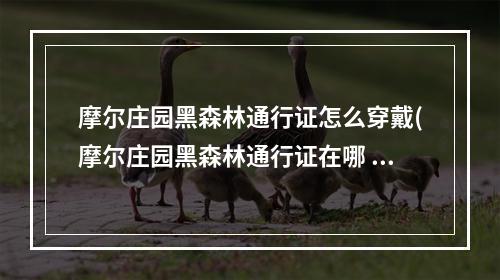 摩尔庄园黑森林通行证怎么穿戴(摩尔庄园黑森林通行证在哪 黑森林通行证佩戴方法  )