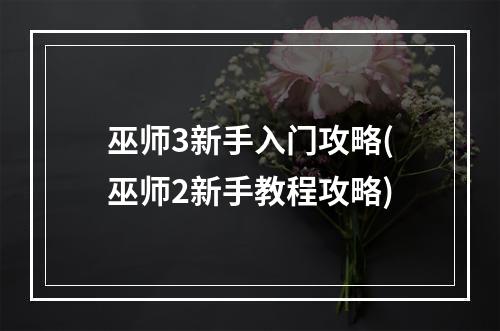 巫师3新手入门攻略(巫师2新手教程攻略)