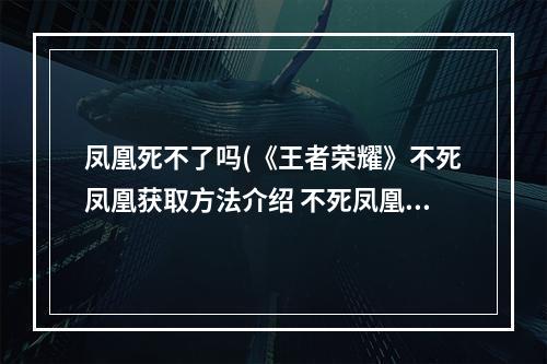 凤凰死不了吗(《王者荣耀》不死凤凰获取方法介绍 不死凤凰怎么得)