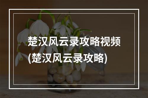 楚汉风云录攻略视频(楚汉风云录攻略)