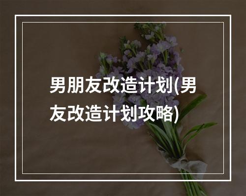 男朋友改造计划(男友改造计划攻略)