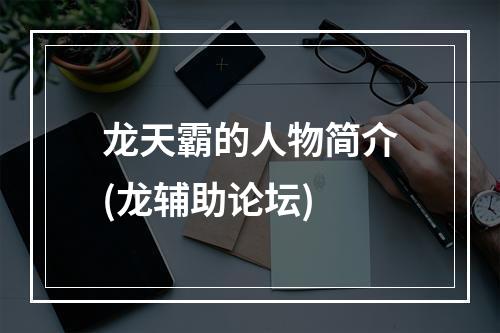 龙天霸的人物简介(龙辅助论坛)