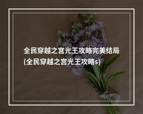 全民穿越之宫光王攻略完美结局(全民穿越之宫光王攻略s)