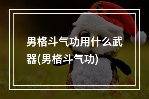 男格斗气功用什么武器(男格斗气功)