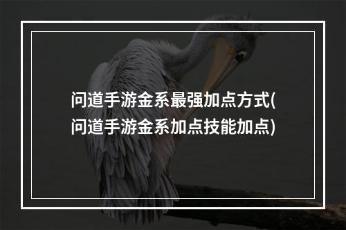 问道手游金系最强加点方式(问道手游金系加点技能加点)