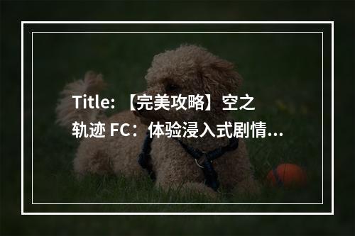 Title: 【完美攻略】空之轨迹 FC：体验浸入式剧情和战斗