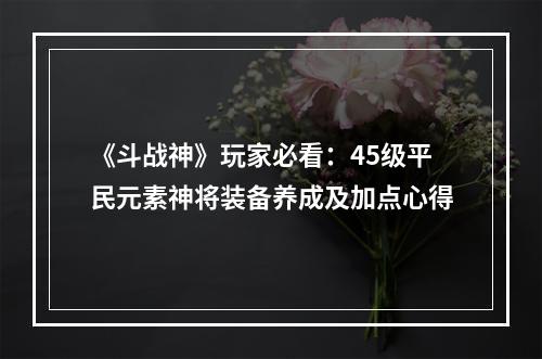 《斗战神》玩家必看：45级平民元素神将装备养成及加点心得