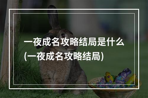 一夜成名攻略结局是什么(一夜成名攻略结局)