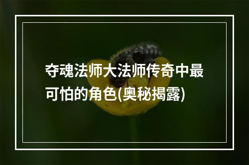 夺魂法师大法师传奇中最可怕的角色(奥秘揭露)