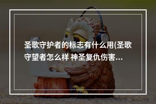 圣歌守护者的标志有什么用(圣歌守望者怎么样 神圣复仇伤害属性介绍)