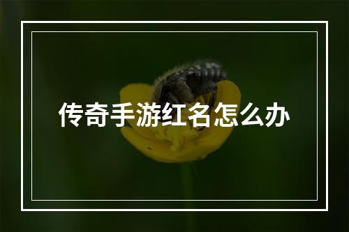 传奇手游红名怎么办