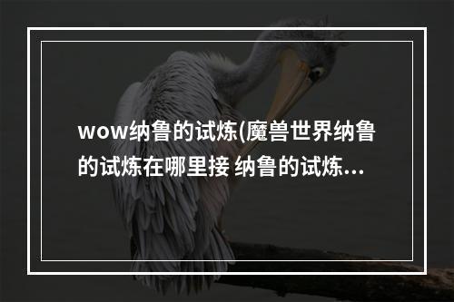 wow纳鲁的试炼(魔兽世界纳鲁的试炼在哪里接 纳鲁的试炼任务攻略  )