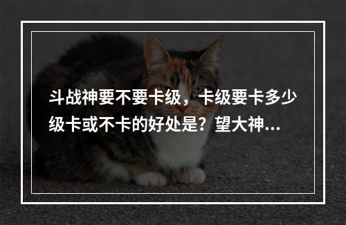 斗战神要不要卡级，卡级要卡多少级卡或不卡的好处是？望大神指教我新手(斗战神卡等级)