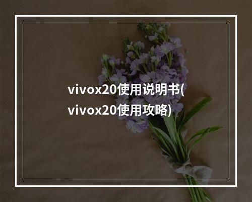 vivox20使用说明书(vivox20使用攻略)