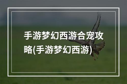 手游梦幻西游合宠攻略(手游梦幻西游)