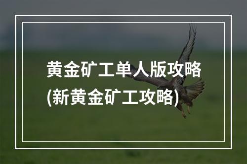 黄金矿工单人版攻略(新黄金矿工攻略)