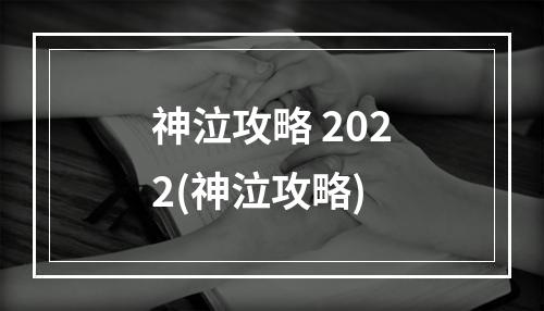 神泣攻略 2022(神泣攻略)