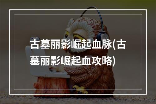 古墓丽影崛起血脉(古墓丽影崛起血攻略)