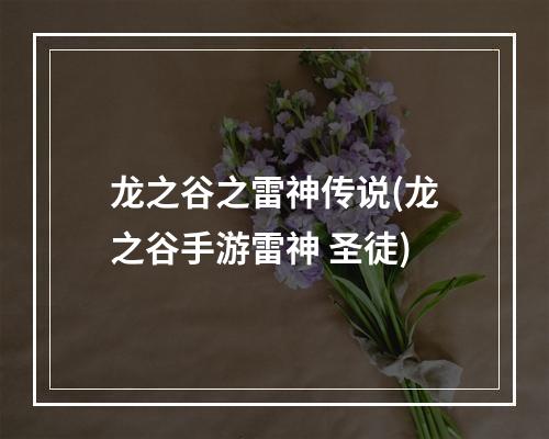 龙之谷之雷神传说(龙之谷手游雷神 圣徒)