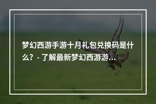 梦幻西游手游十月礼包兑换码是什么？- 了解最新梦幻西游游戏内容和奖励的关键字是梦幻西游、手游和十月礼包。