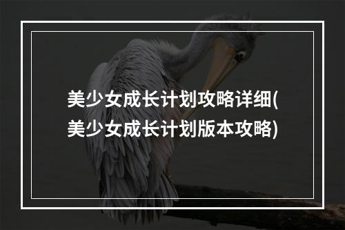 美少女成长计划攻略详细(美少女成长计划版本攻略)